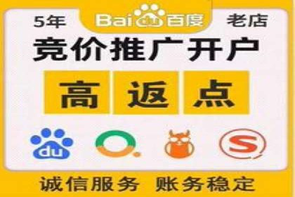 百度推广在电商行业的成功案例